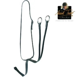 Mark Todd Martingale