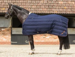 Mark Todd Mediumweight Stable Rug - Navy & Orange