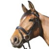 Mark Todd Padded Flash Bridle