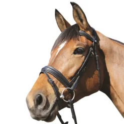 Mark Todd Padded Flash Bridle