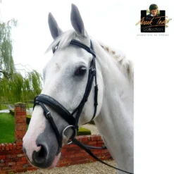 Mark Todd Patent Dressage Bridle