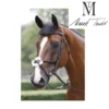 Mark Todd Performance Figure Of 8 Bridle