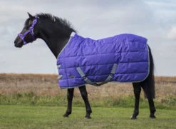 Mark Todd Pony Stable Rug - Purple & Grey