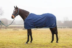Mark Todd Pro Stable Sheet - Navy