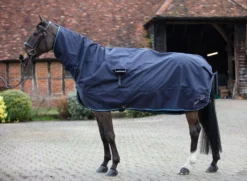 Mark Todd Rain Combo Rug - Navy
