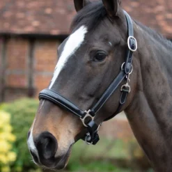 Mark Todd Raised Fancy Stitch Leather Headcollar