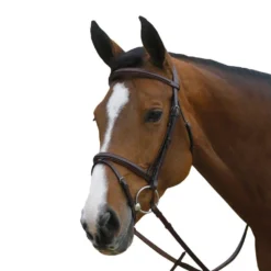 Mark Todd Square Raised Padded Bridle With Flash Noseband