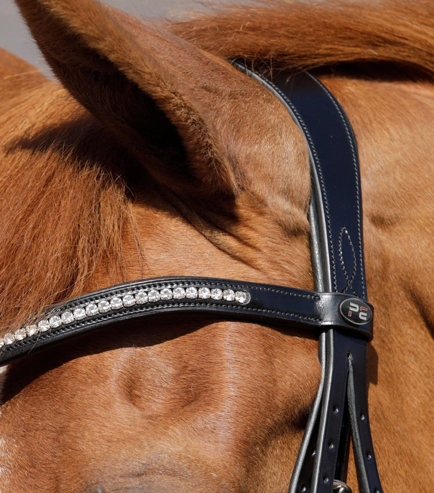 Premier Equine Abriano Anatomic Double Bridle 2 Premier Equine Abriano Anatomic Double Bridle - Image 2