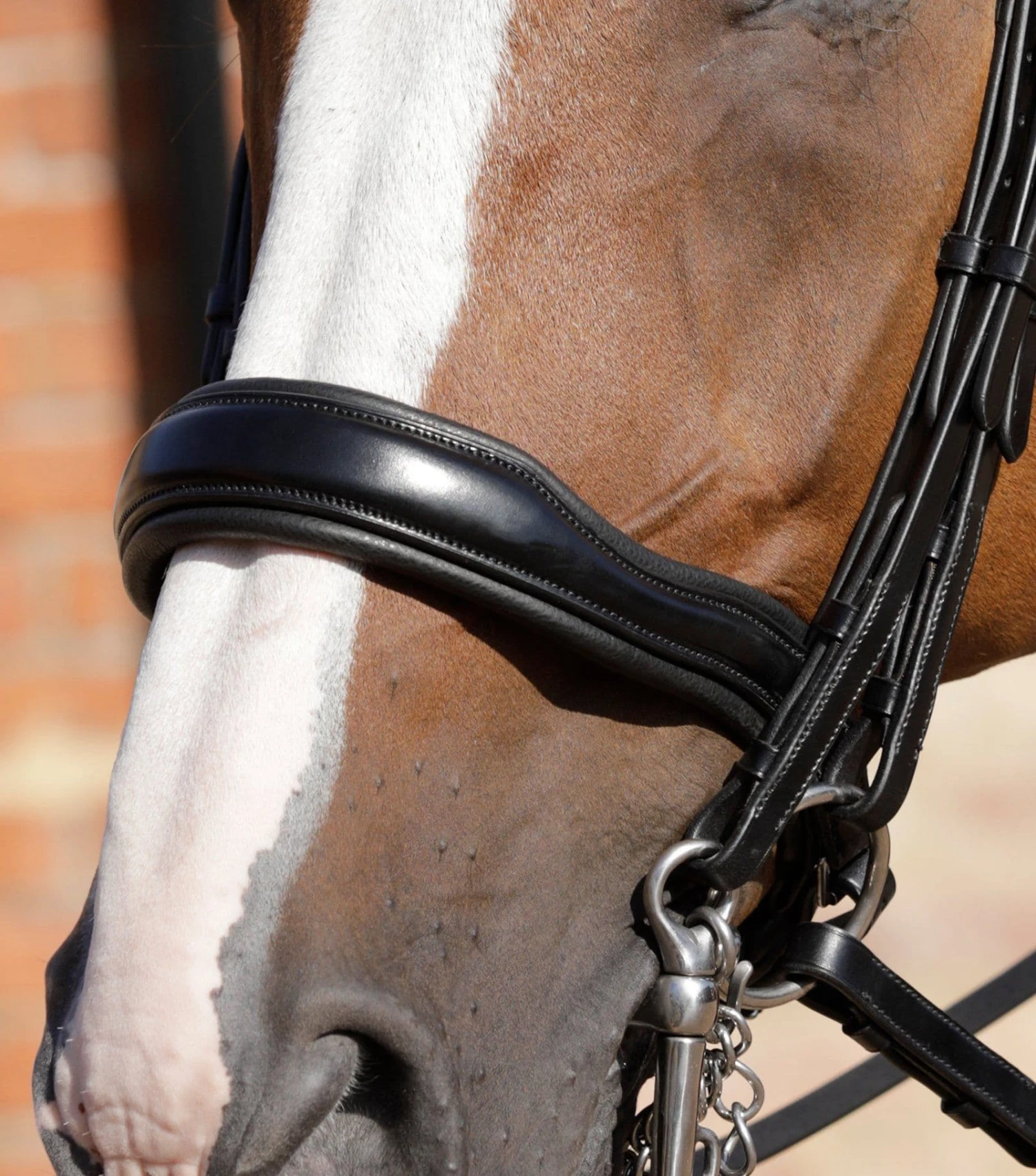 Premier Equine Abriano Anatomic Double Bridle 3 Premier Equine Abriano Anatomic Double Bridle - Image 3
