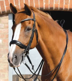 Premier Equine Abriano Anatomic Double Bridle