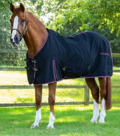 Premier Equine Barrasso Cotton Stable Sheet