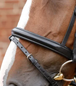 Premier Equine Bellissima Crank Bridle With Diamante Browband -Sports - Equestrian Sports premier equine bellissima crank bridle with diamante browband colour black size cob 3 80425 p
