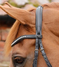 Premier Equine Bellissima Crank Bridle With Diamante Browband -Sports - Equestrian Sports premier equine bellissima crank bridle with diamante browband colour black size cob 4 80425 p
