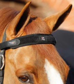 Premier Equine Bi-Polar Magni-Teque Browband
