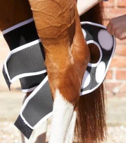 Premier Equine Bi-Polar Magni-Teque Magnetic Hock Boots -Sports - Equestrian Sports premier equine bi polar magni teque magnetic hock boots 3 82636 p