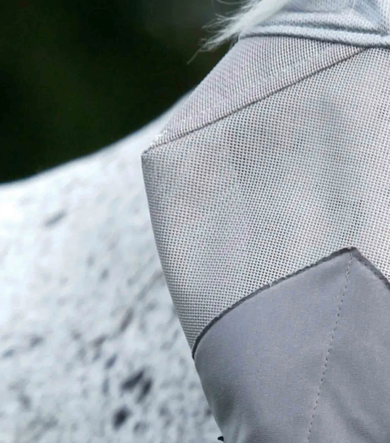 Premier Equine Buster Mask: Xtra 2 Premier Equine Buster Mask: Xtra - Image 2