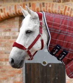 Sports - Equestrian Sports -Sports - Equestrian Sports premier equine domus 200g combo stable rug 2 81822 p