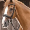 Premier Equine Favoloso Anatomic Bridle With Crank Noseband