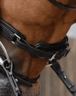 Premier Equine Favoloso Anatomic Bridle With Crank Noseband -Sports - Equestrian Sports premier equine favoloso anatomic bridle with crank noseband colour black size cob 3 80393 p