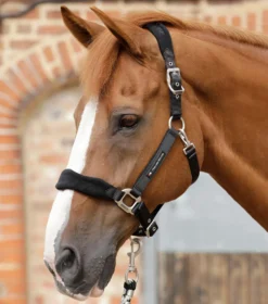 Premier Equine Fleece Padded Head Collar