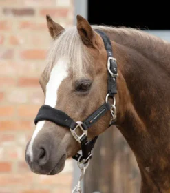Premier Equine Fleece Padded Head Collar - Pony