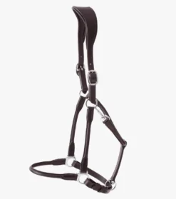Premier Equine Hennaroso Rolled Anatomic Leather Headcollar -Sports - Equestrian Sports premier equine hennaroso rolled anatomic leather headcollar 4 80250 p