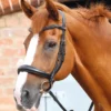 Premier Equine Lambro Anatomic Bridle With Crank Noseband