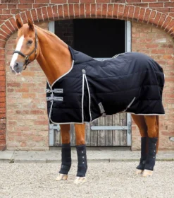 Premier Equine Lucanta Demi 100g Stable Rug