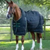 Premier Equine Lucanta Demi 450g Stable Rug