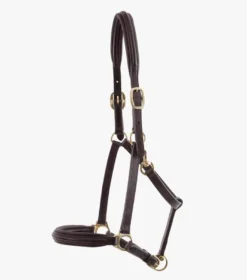 Premier Equine Padded Leather Head Collar 7 Premier Equine Padded Leather Head Collar -Sports - Equestrian Sports premier equine padded leather head collar 4 80243 p