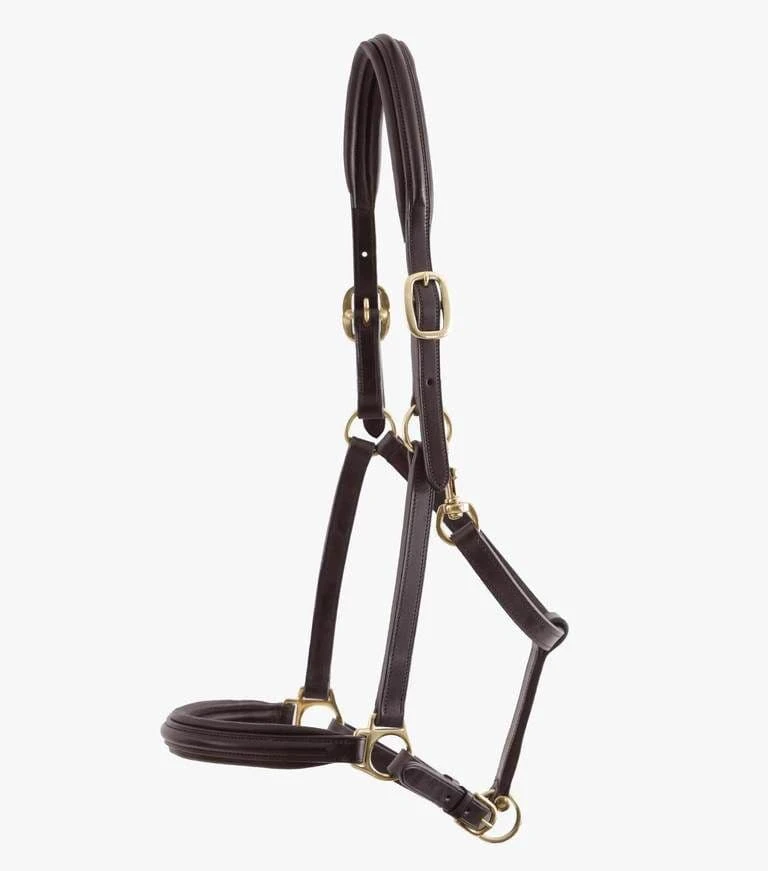 Premier Equine Padded Leather Head Collar 4 Premier Equine Padded Leather Head Collar - Image 4
