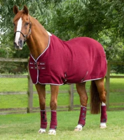 Premier Equine Premtex Horse Cooler Rug -Sports - Equestrian Sports premier equine premtex horse cooler rug 5 82363 p