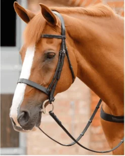 Premier Equine Primo Hunter Bridle
