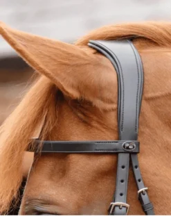 Premier Equine Primo Hunter Bridle -Sports - Equestrian Sports premier equine primo hunter bridle colour black size pony 3 89750 p