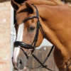 Premier Equine Rizzo Anatomic Snaffle Bridle With Flash