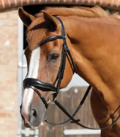 Premier Equine Rizzo Anatomic Snaffle Bridle With Flash
