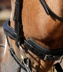 Premier Equine Rizzo Anatomic Snaffle Bridle With Flash 5 Premier Equine Rizzo Anatomic Snaffle Bridle With Flash -Sports - Equestrian Sports premier equine rizzo anatomic snaffle bridle with flash colour black size cob 4 80407 p