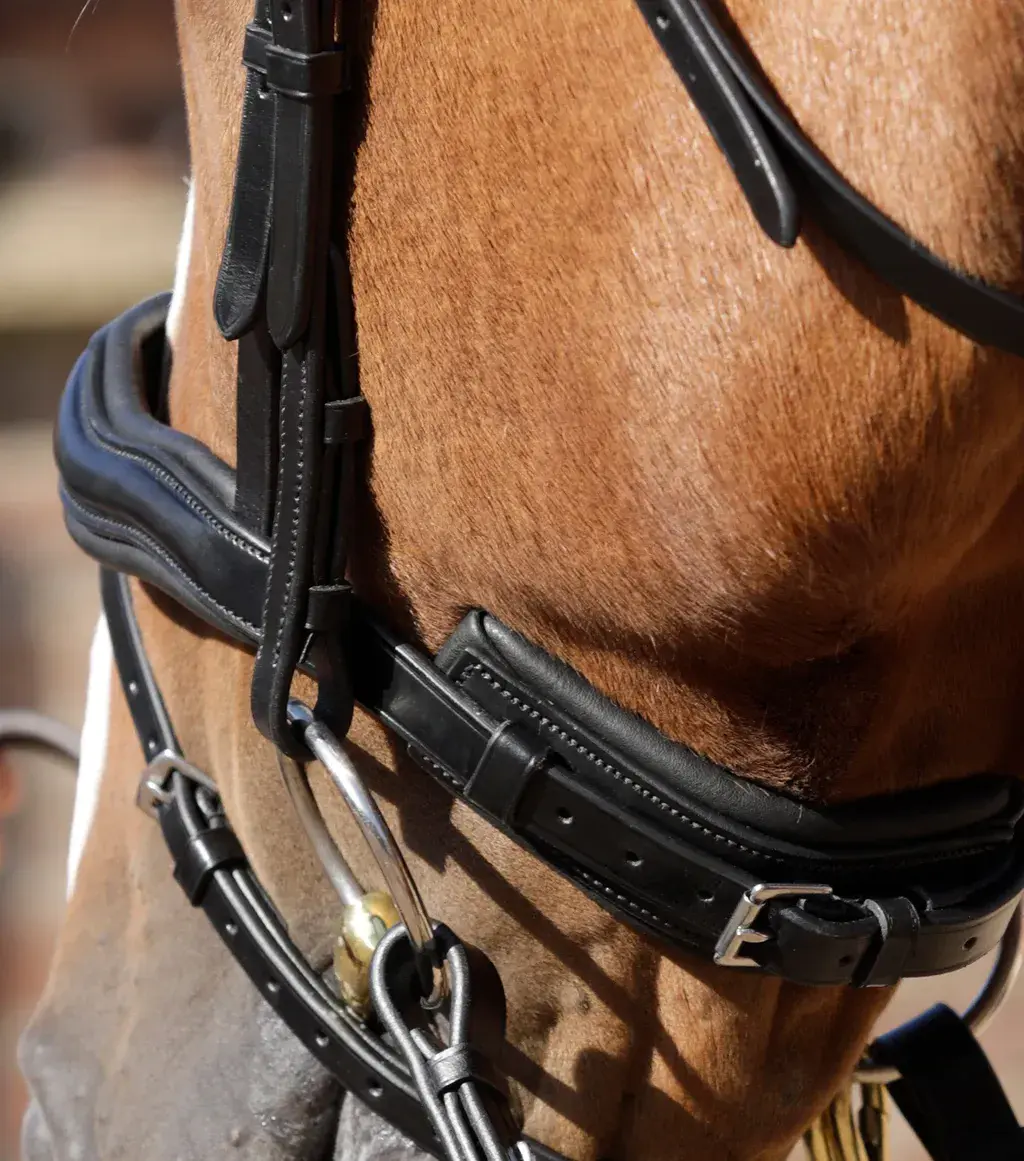 Premier Equine Rizzo Anatomic Snaffle Bridle With Flash 3 Premier Equine Rizzo Anatomic Snaffle Bridle With Flash - Image 3