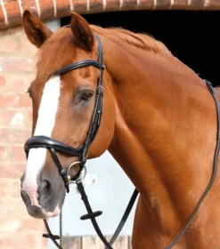 Premier Equine Savuto Anatomic Bridle With Crank Noseband And Flash