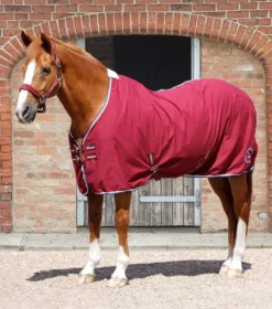 Premier Equine Stratus Stable Sheet -Sports - Equestrian Sports premier equine stratus stable sheet 4 81213 p