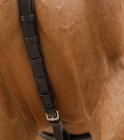 Premier Equine Valbrona Performance Breastplate -Sports - Equestrian Sports premier equine valbrona performance breastplate colour black size cob 3 80527 p