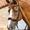 Premier Equine Verdura Anatomic Snaffle Bridle