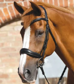 Premier Equine Verdura Anatomic Snaffle Bridle