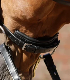 Premier Equine Verdura Anatomic Snaffle Bridle -Sports - Equestrian Sports premier equine verdura anatomic snaffle bridle colour black size pony 4 89829 p