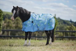 Saxon 600D Pony Combo Neck Lite -Sports - Equestrian Sports saxon 600d pony combo neck lite colour dinosaur print size 3 0 3 103285 p