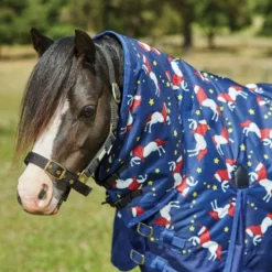 Saxon 600D Pony Combo Neck Medium -Sports - Equestrian Sports saxon 600d pony combo neck medium colour blue unicorn print size 4 6 3 101685 p