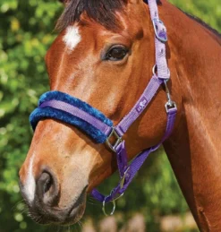Saxon Element Fleece Headcollar -Sports - Equestrian Sports saxon element fleece headcollar colour purple navy size pony 3 65423 p