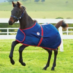 Weatherbeeta 1200D Foal Standard Neck II Mediumweight Rug - Navy -Sports - Equestrian Sports weatherbeeta 1200d foal standard neck ii mediumweight rug navy size 3 0 3 10046 p