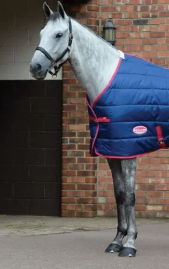 Weatherbeeta Comfitec 210d Channel Quilt Standard Neck Mediumweight Stable Rug - Blueberry/Pink -Sports - Equestrian Sports weatherbeeta comfitec 210d channel quilt standard neck mediumweight stable rug blueberry p3 85983 p