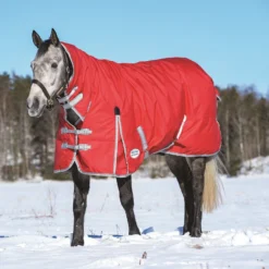 Weatherbeeta Comfitec Classic Mediumweight Turnout Rug Neck Red/Silver/Navy -Sports - Equestrian Sports weatherbeeta comfitec classic mediumweight turnout rug neck red silver navy 3 6610 p